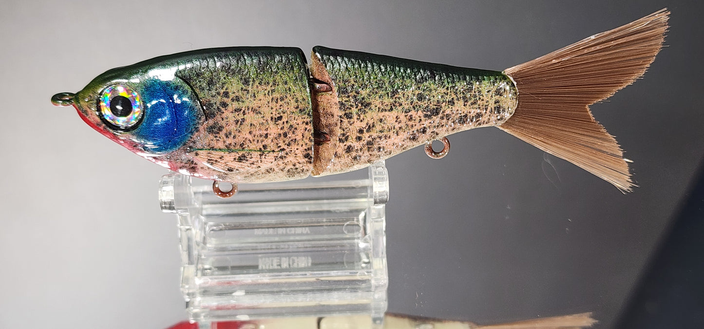 5" Premium Fat Belly Glidebait (Belladonna Bassassin)